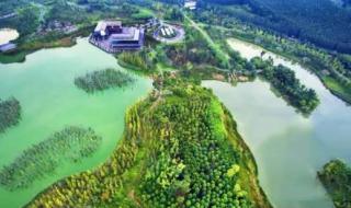 成都白鹭湾湿地公园