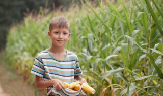 玉米男孩原图恐怖 玉米男孩原图恐怖